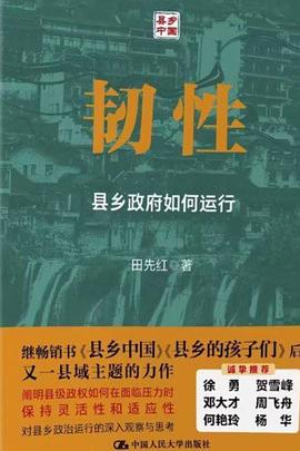 韧性:县乡政府如何运行 韧性:县乡政府如何运行